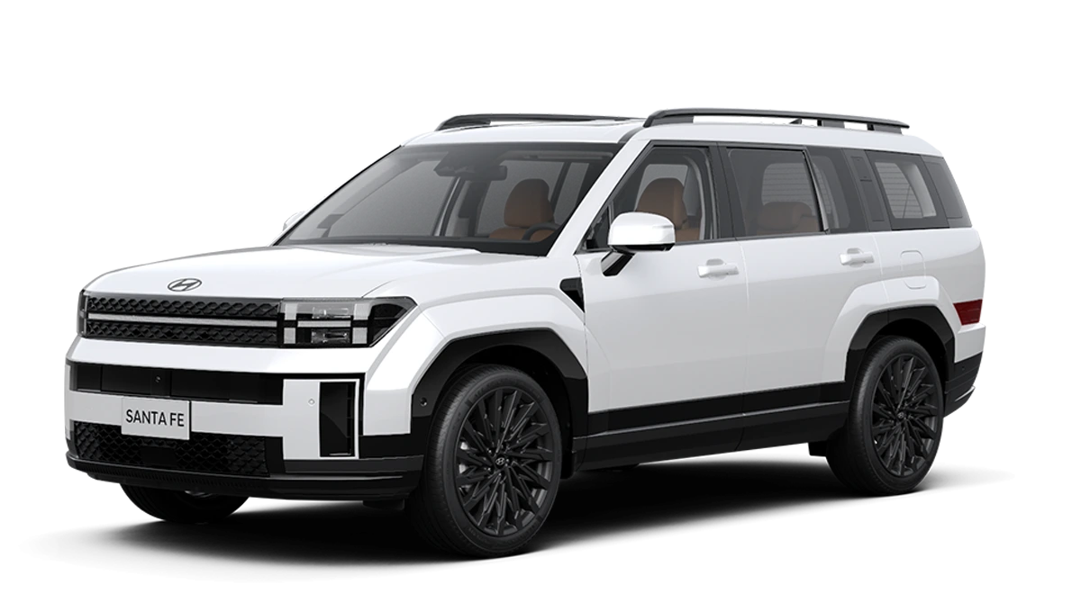 Hyundai Santafe Nam Định